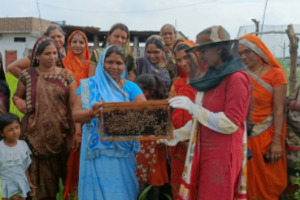 BeeKeeping Awareness (Horticulture Training)